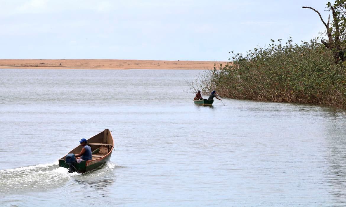 Mariana: pesquisadores encontram metais tóxicos em peixes do Rio Doce