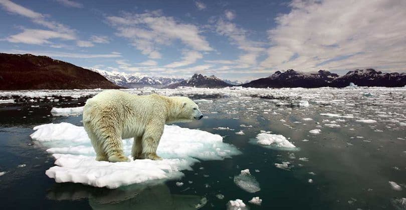 Terra tem aumento de retenção de calor sem precedentes