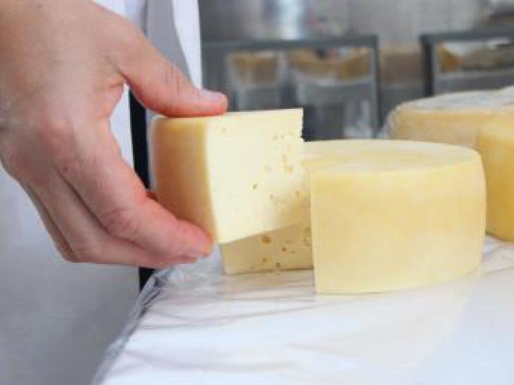 Consumidor pode economizar mais de R$ 15 nos preços de queijo em João Pessoa, aponta pesquisa