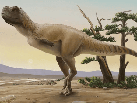 Nova espécie de dinossauro do Brasil homenageia 'deus do sexo' guarani
