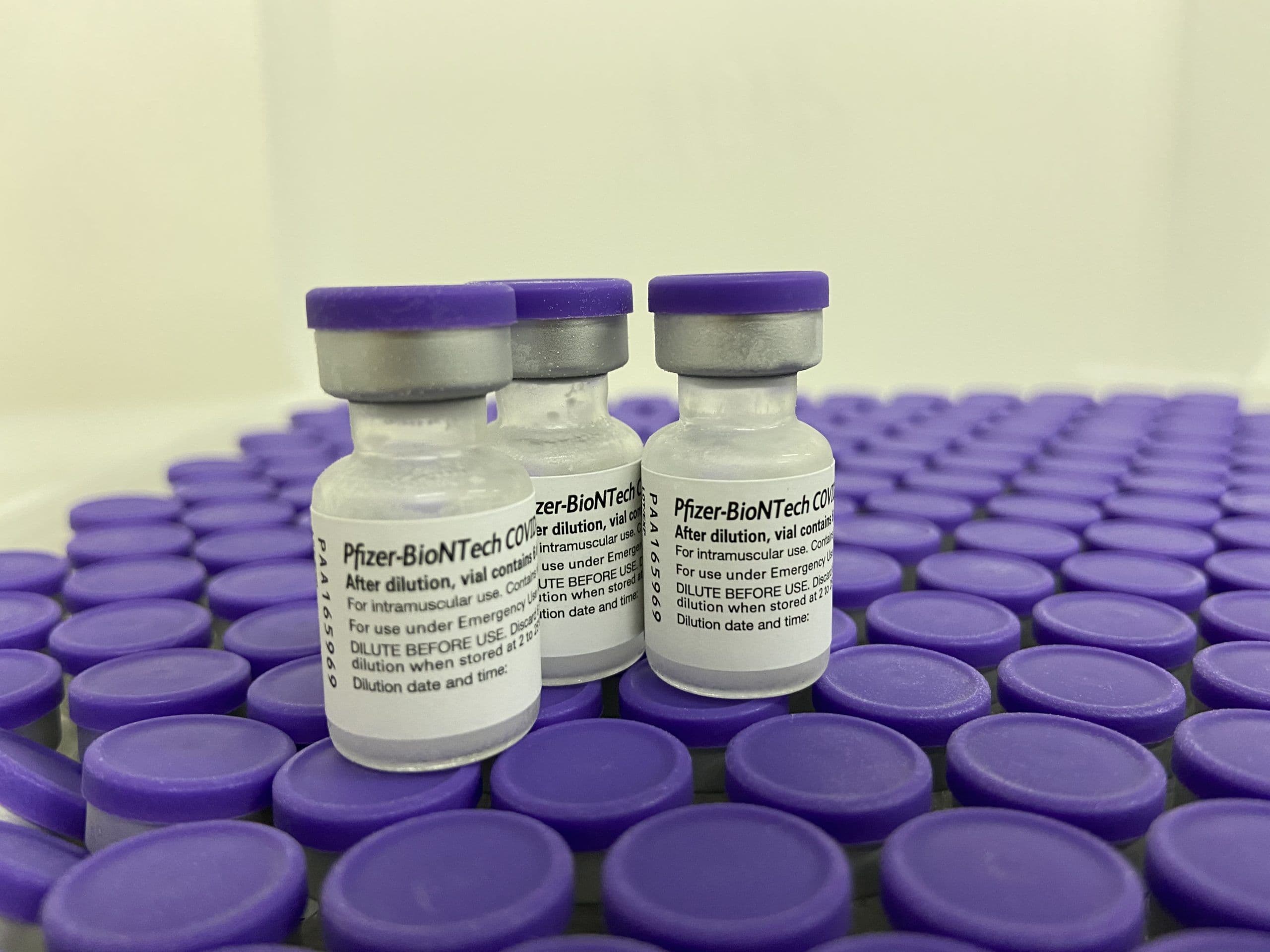 Municípios da Paraíba recebem mais de 30 mil doses da Pfizer para iniciar vacinação de adolescentes