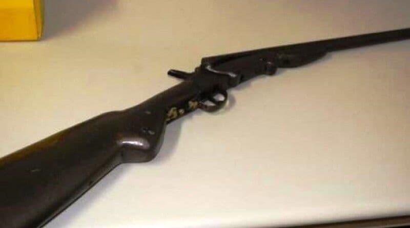 Idosa morre após levar tiro acidental de espingarda em Sousa