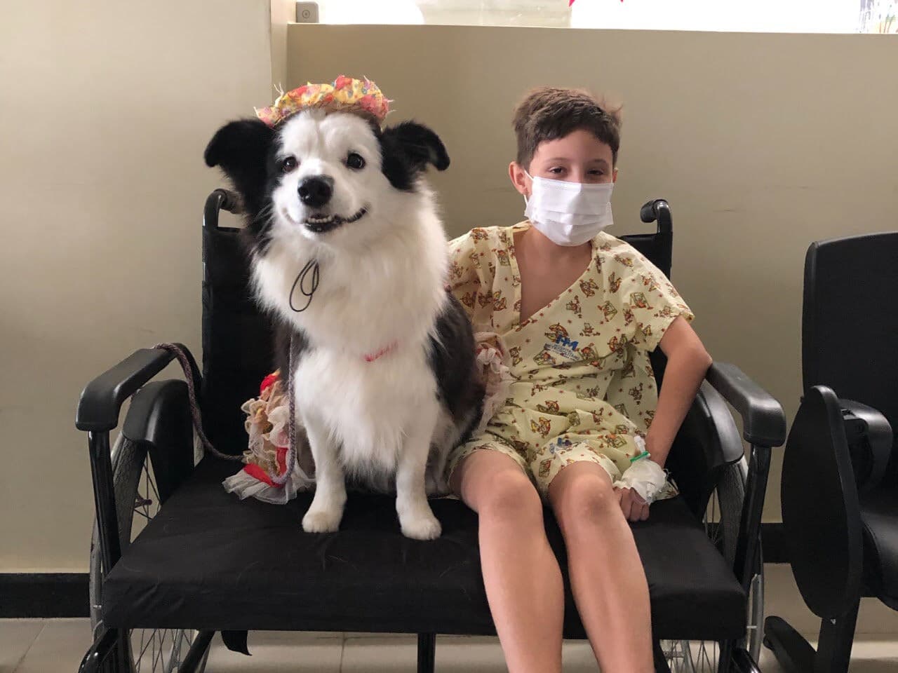 Hospital Metropolitano inicia terapia com cães para auxiliar no tratamento dos pacientes