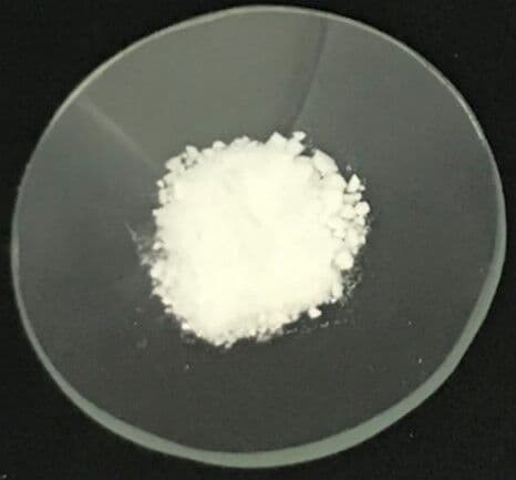 Cientistas da UFPB desenvolvem pomada para controle de microrganismos na orofaringe