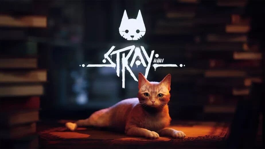 Publicadora do game 'Stray' faz parceria com instituições que ajudam gatos de rua