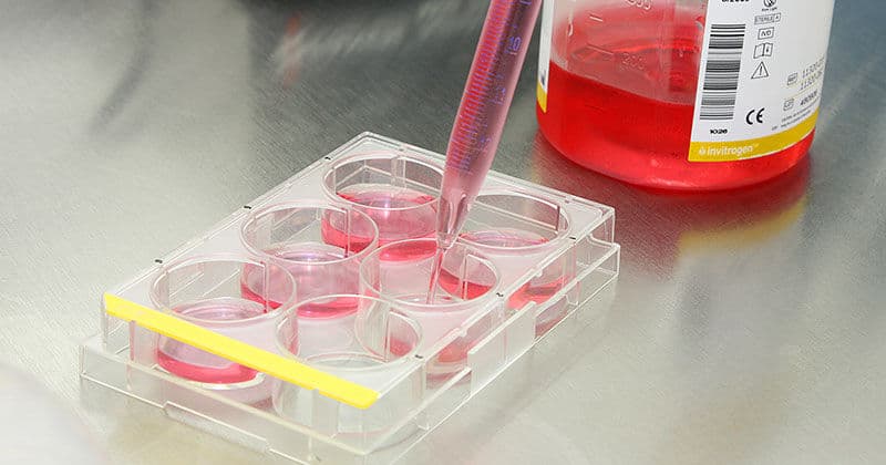 Pesquisadores da USP trabalham em vacina contra coronavírus