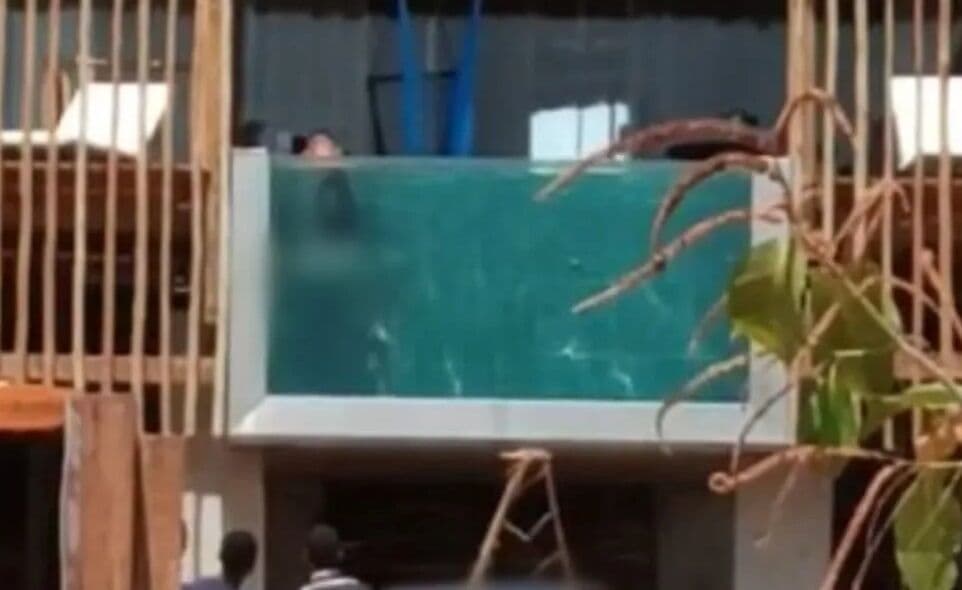 Ato obsceno: casal é flagrado fazendo sexo em piscina transparente em pousada de frente para praia