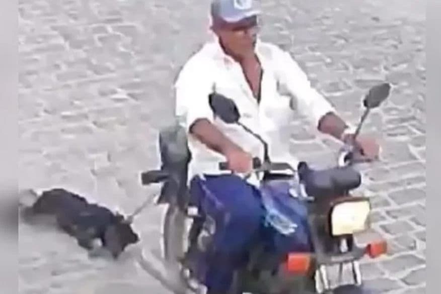 Homem filmado arrastando cachorro amarrado em moto presta depoimento e polícia confirma que animal caiu da garupa