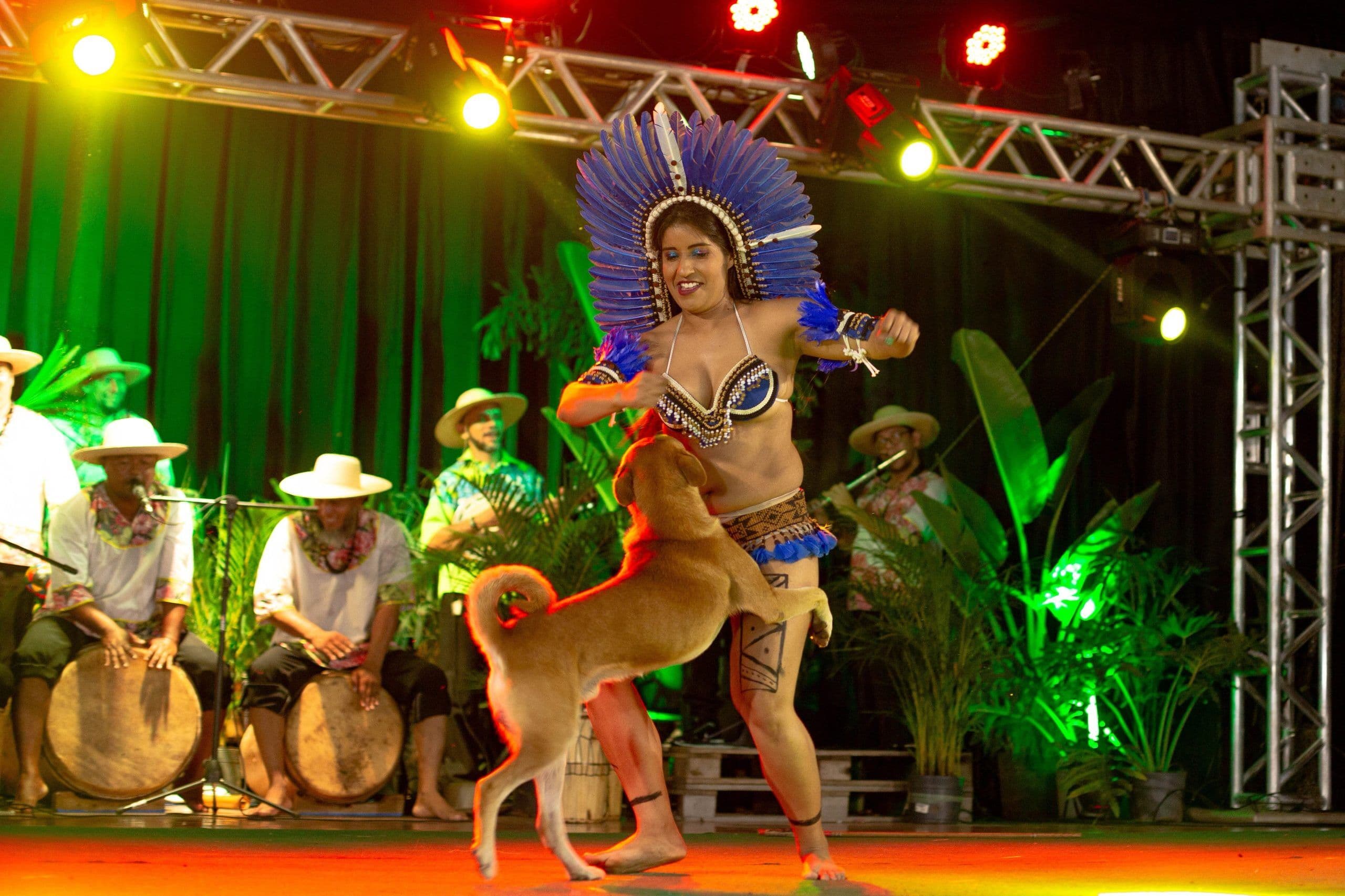 Cachorro caramelo invade palco e 'dança' com mulher no Pará: 'não podia parar a coreografia', diz dançarina