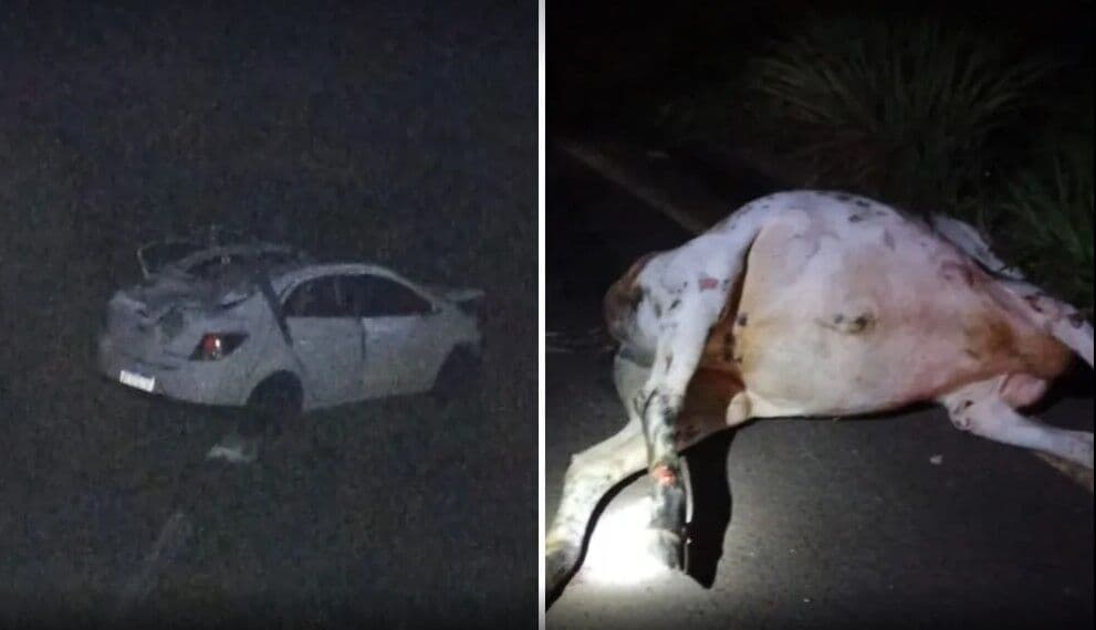 Locutor de rodeio e amigo morrem após carro bater contra vaca e cair em ribanceira
