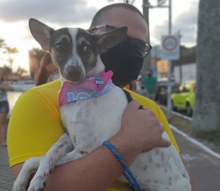 Prefeitura de Campina Grande realiza o maior evento de adoção de animais para marcar entrega do Castramóvel
