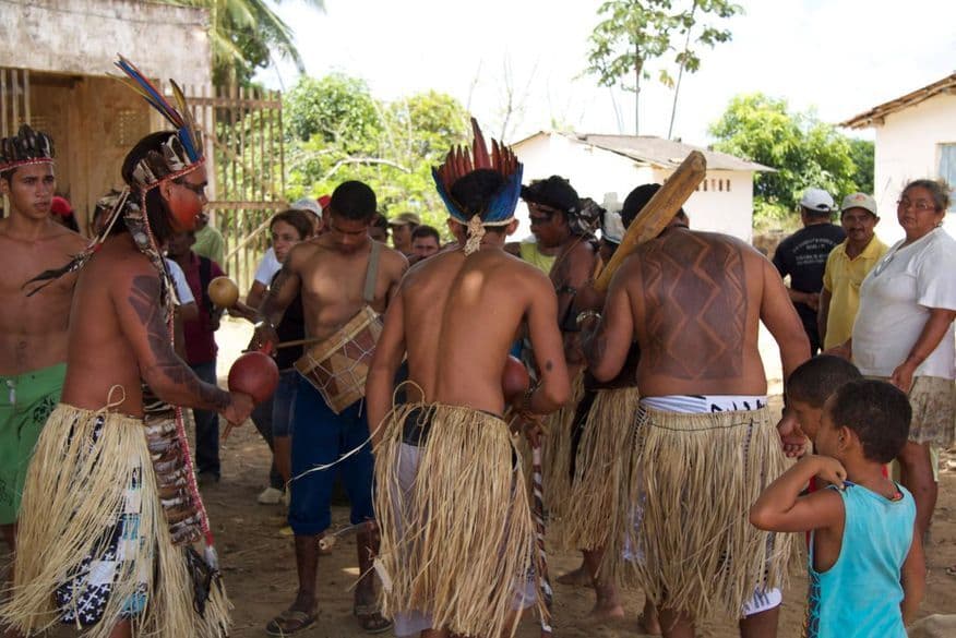 Ministério Público de Contas requer auditoria sobre políticas públicas para povos indígenas e teme tragédias na Paraíba semelhante ao caso Ianomâmi