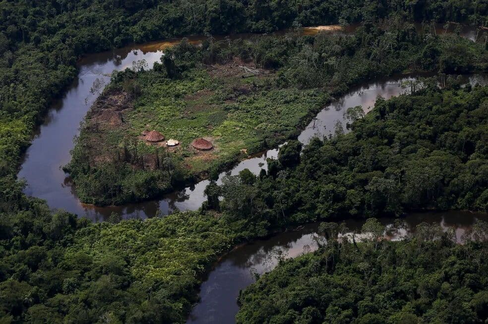 MPF investiga as causas do aumento do desmatamento e das queimadas na região Amazônica