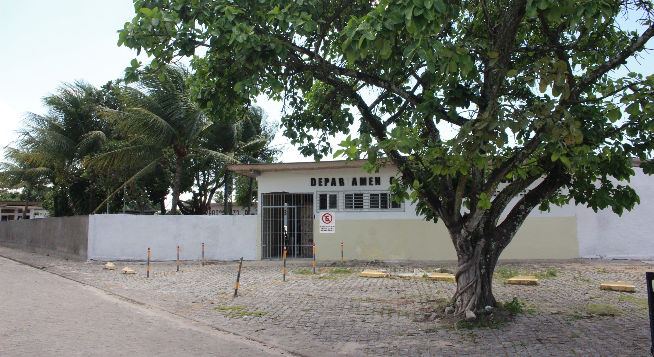 Recém-nascido é encontrado morto enquanto dormia em casa na Ilha do Bispo; suspeita é de engasgo com leite materno