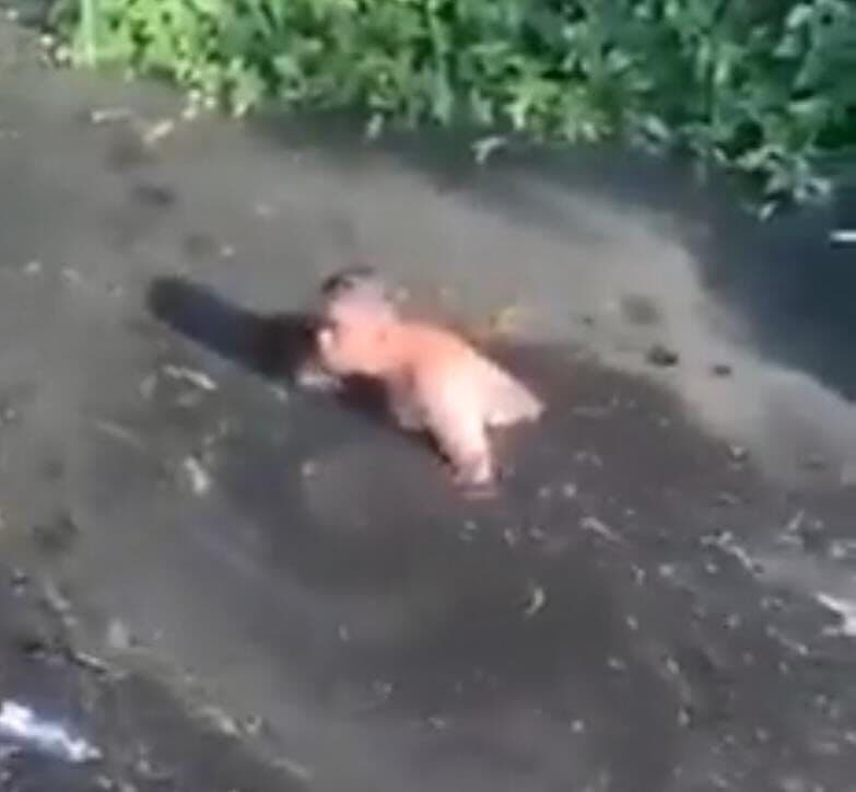 VÍDEO: homem pula em esgoto para recuperar iphone e vai parar em hospital