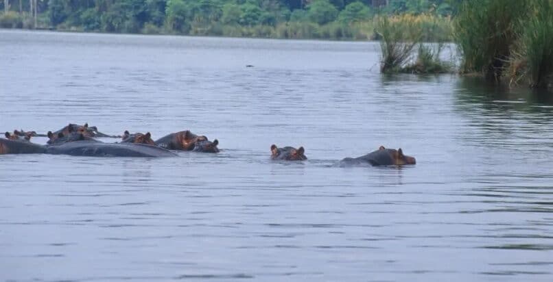 Paraíba deve receber R$ 79 milhões do Ministério da Cultura para investimentos em projetos culturais, revela ministra Margareth Menezes