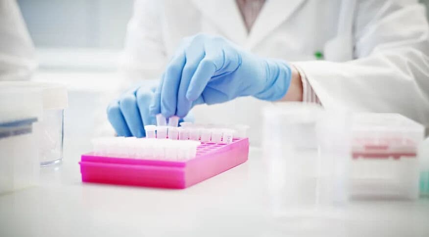 Instituto Butantan desenvolve vacina contra gripe aviária