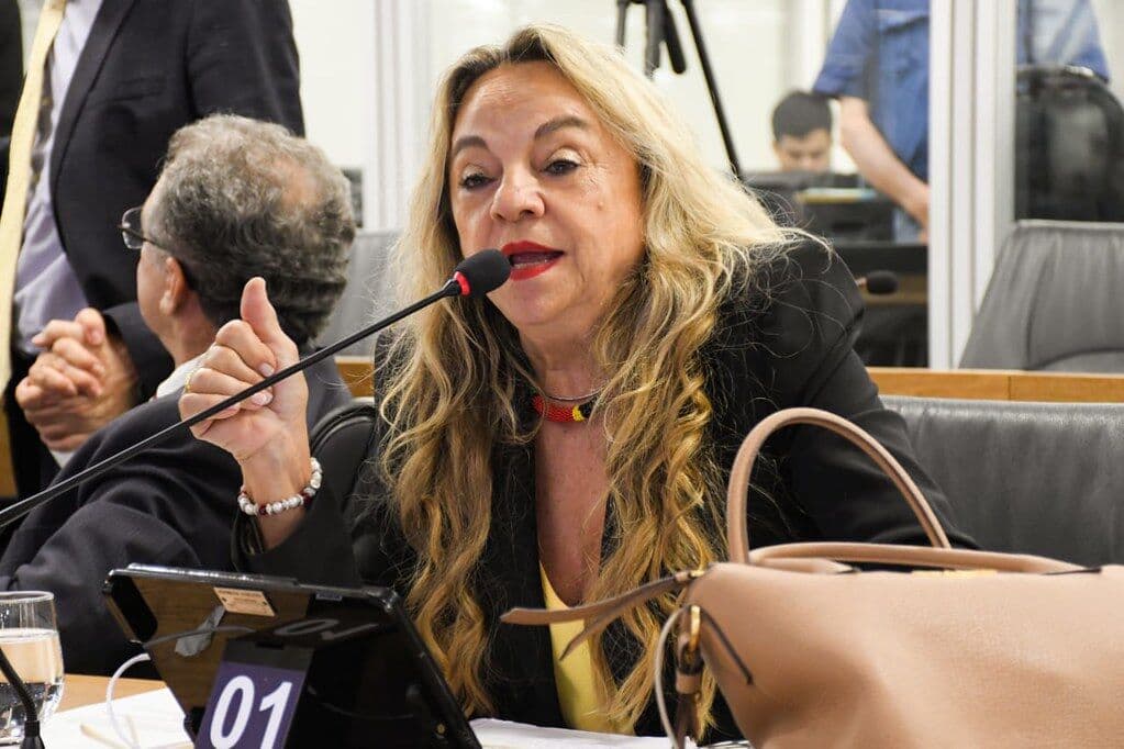 Deputada Dra. Paula esquece microfone aberto e protagoniza cena de meme na Assembleia Legislativa: "Inês, a lasanha"