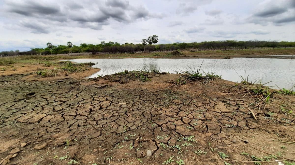 Veja como o El Niño pode impactar a economia em cada região do país; Nordeste deve ter seca