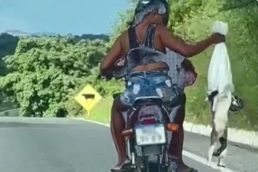 Polícia investiga ao menos três casos de maus tratos a animais no Sertão da Paraíba