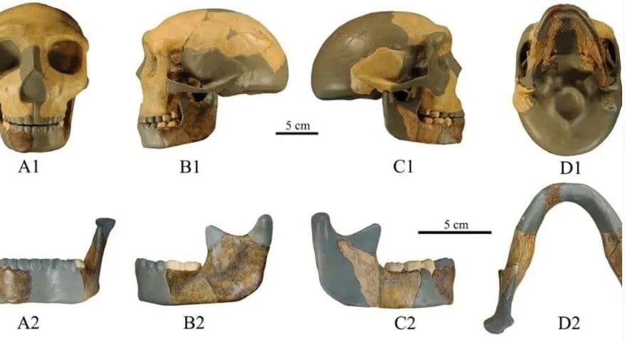 Crânio humano de 300 mil anos, diferente de tudo já encontrado, é achado na China