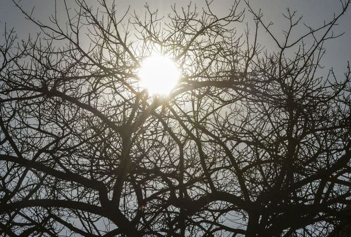 ALERTA: umidade do ar pode chegar a 20% em 79 municípios da Paraíba; veja quais são as cidades atingidas