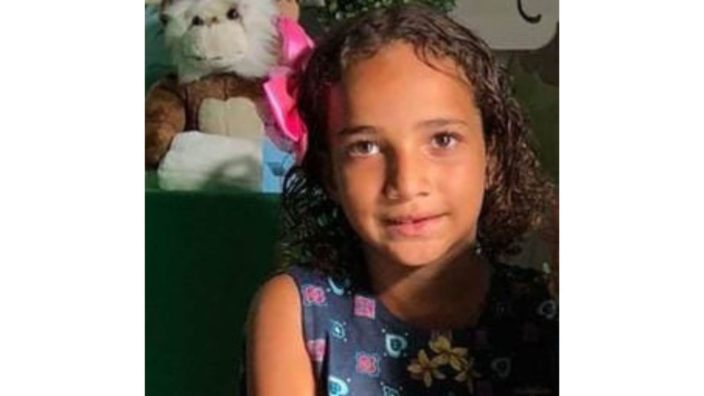 Delegado revela que investigação chegou à conclusão que "Tiago Fontes realmente assassinou Ana Sophia"