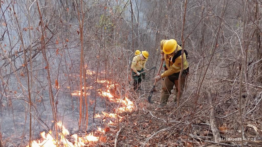 Paraíba tem 32 focos de incêndios florestais em área de 270 hectares; 21 propriedades são atingidas