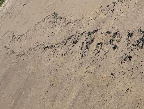 ​Manchas de óleo aparecem em praias de Cabedelo e autoridades vão analisar material