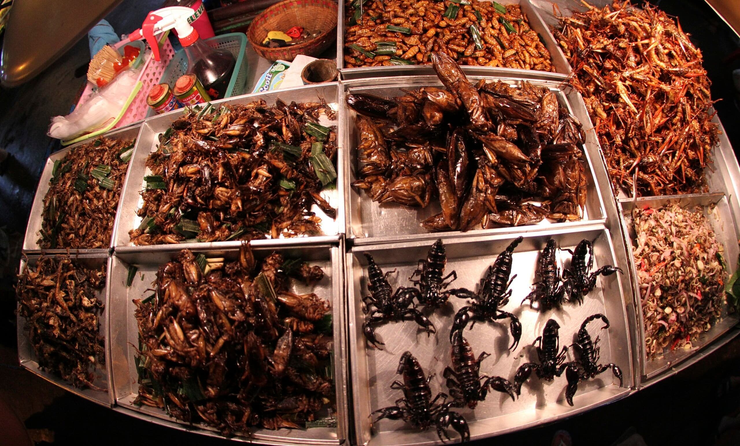 Conheça as 5 comidas mais exóticas ao redor do mundo