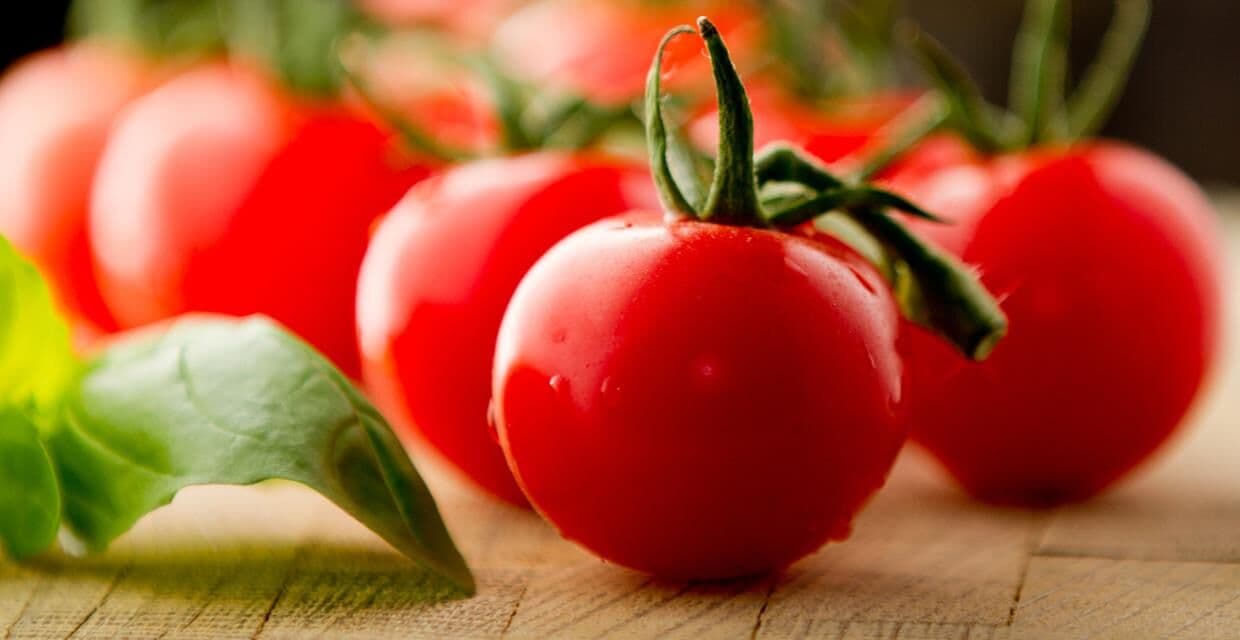 No Dia do Tomate, conheça as curiosidades e benefícios da fruta