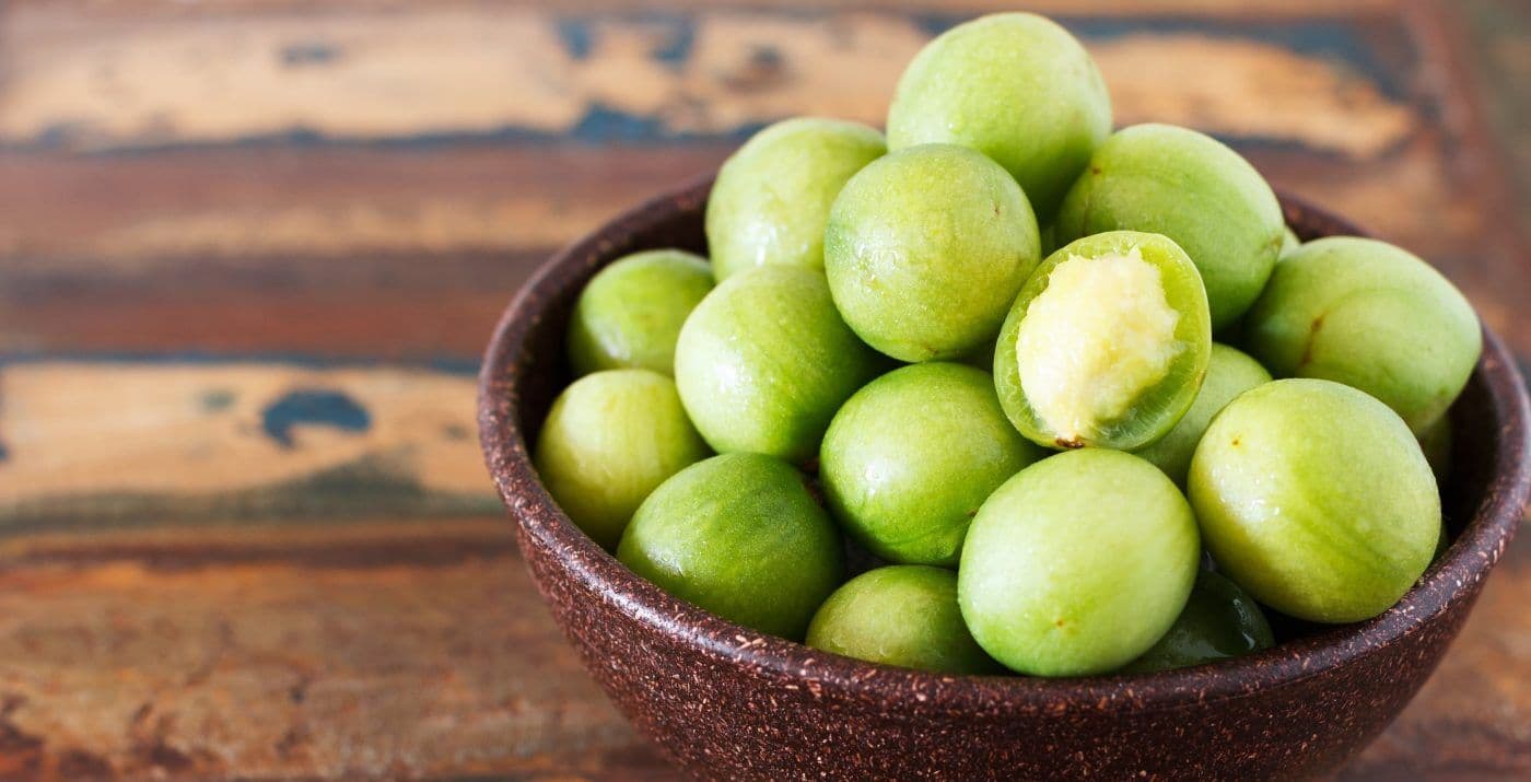 Grupo de extrativistas de umbu e mangaba do Curimataú e Seridó paraibano recebem R$ 119 mil de subvenções da Conab