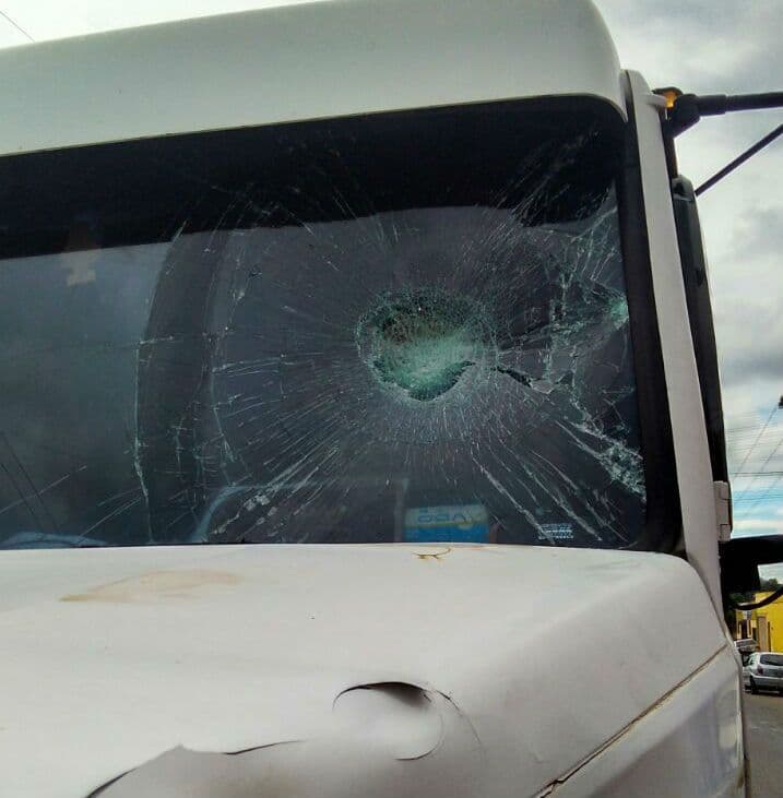 Animais soltos na pista provocam dois graves acidentes em Mamanguape