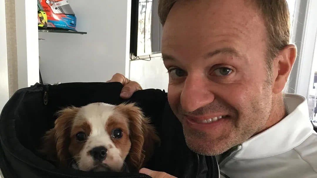 Cachorro de Rubens Barrichello morre após ingerir 11 bitucas de cigarro; piloto lamenta