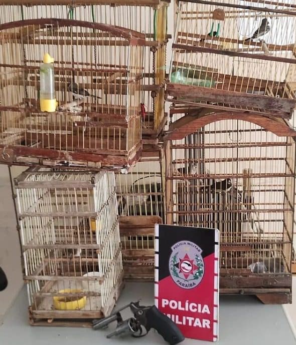 Polícia Militar prende homem por manter animais silvestres em cativeiro em Itaporanga