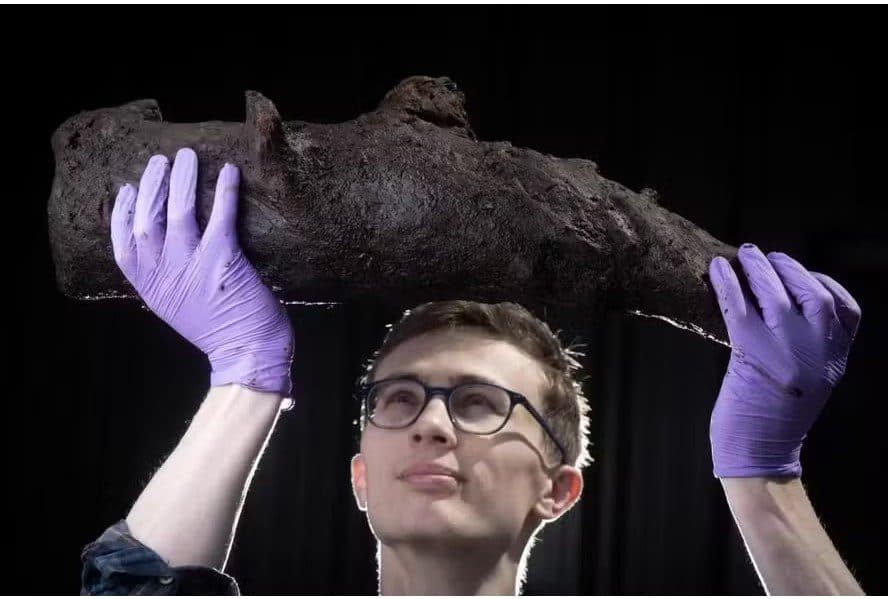 "Cápsula do tempo" pré-histórica é encontrada em parque na Inglaterra