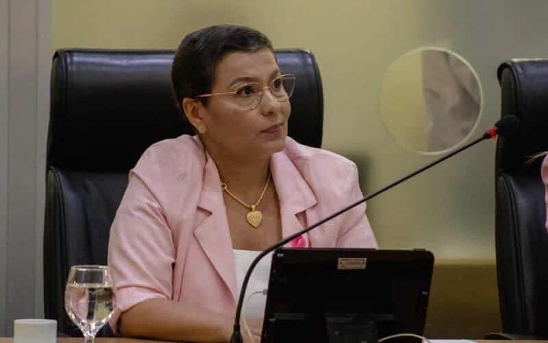 Jane Panta dispara críticas a secretário de Segurança e sugere convocação para explicar onda de violência