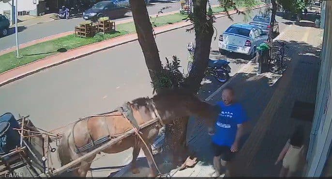 Vereador é atacado por cavalo quando caminhava em calçada; veja vídeo