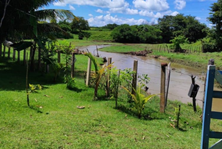 Idoso é encontrado morto em rio no Vale do Piancó
