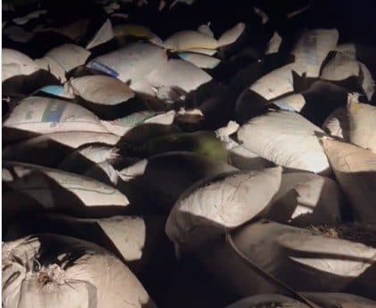 Carreta carregada de castanha tomba na Serra do Teixeira e carga fica espalhada na rodovia; motorista sai ferido