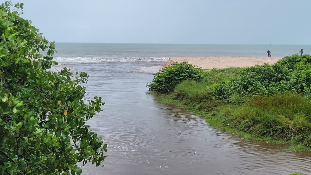 VÍDEO: maceió do Rio Jaguaribe abre e mau cheiro preocupa populares, em Intermares