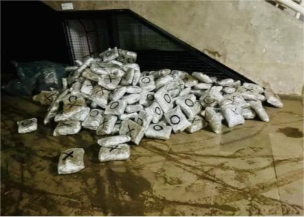 PF apreende 124 quilos de skunk em cidade alagada pela enchente