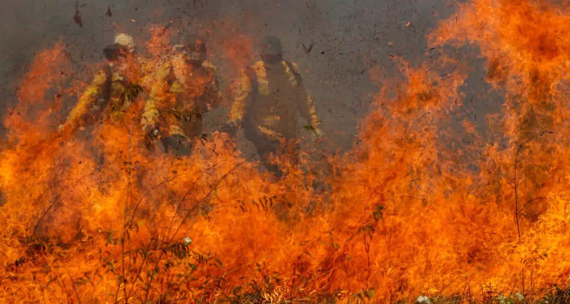 Pantanal acumula em 12 meses mais de 9 mil focos de incêndio
