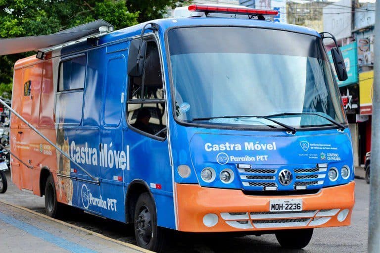 Programa promove castração itinerante em bairros de Campina Grande; veja quando