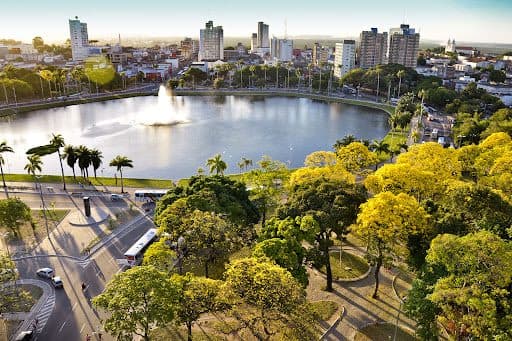 João Pessoa recebe o título de "Capital do Ipê Amarelo"