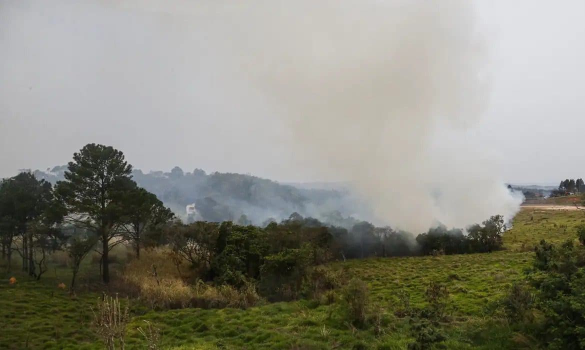 Houve ação criminosa em incêndios no interior de São Paulo, diz Tarcísio de Freitas