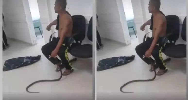 VÍDEO: homem leva cobra a hospital após ser picado pelo animal