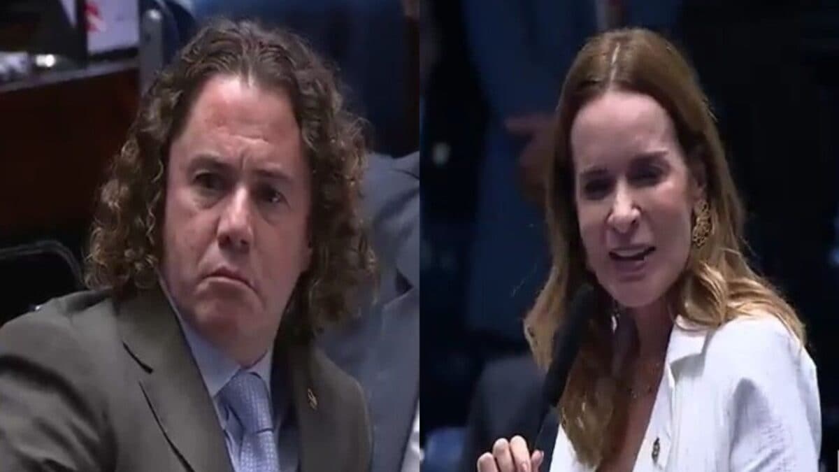 Após embate no Senado, Daniella Ribeiro diz que vai aguardar 'hora certa' para divulgar mensagens de Veneziano