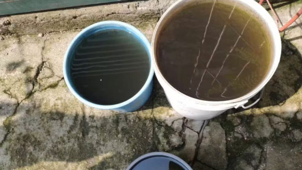 Moradores registram 'chuva preta' no Rio Grande do Sul; fenômeno é provocado por fumaça de incêndios