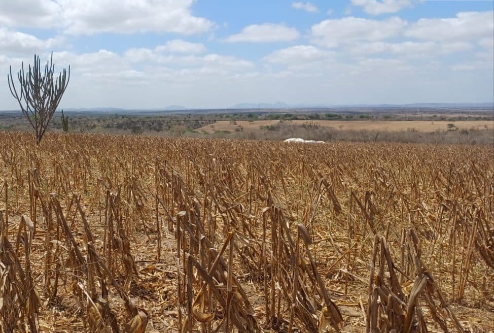 Inmet emite dois alertas de calor intenso e umidade do ar menor que 20% para interior da Paraíba